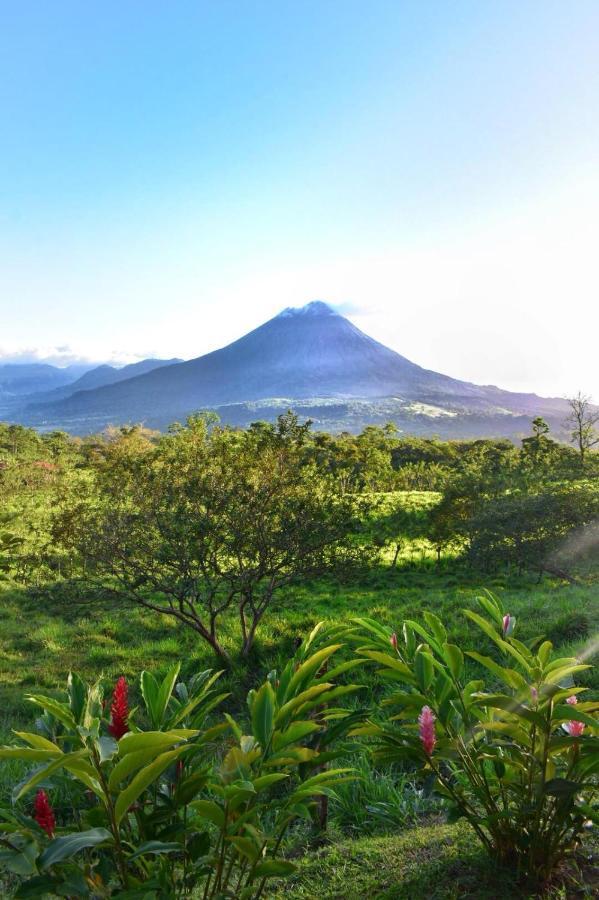 Las Pavitas Cottages La Fortuna Exterior photo